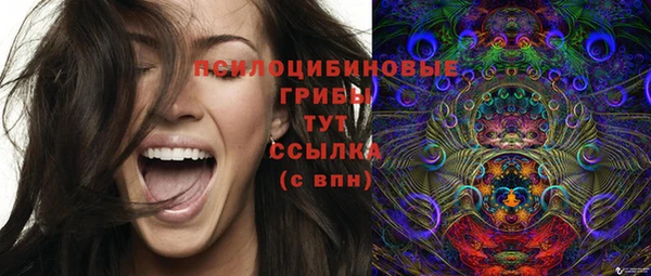 марки nbome Верея